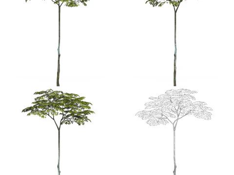 32 Game Ready Tree Collection 3D Model