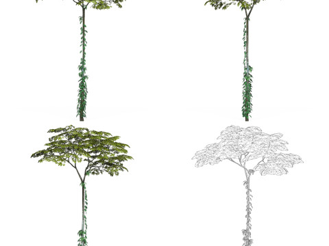32 Game Ready Tree Collection Modelo 3D