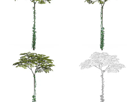 32 Game Ready Tree Collection 3D Model