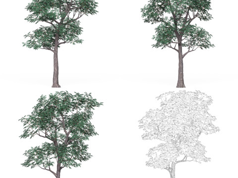 32 Game Ready Tree Collection Modelo 3D