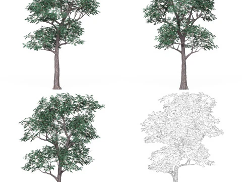 32 Game Ready Tree Collection 3D Model