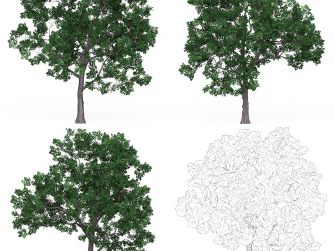 32 Game Ready Tree Collection 3D Model
