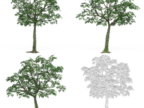 32 Game Ready Tree Collection Modelo 3D
