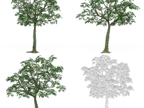 32 Game Ready Tree Collection 3D Model