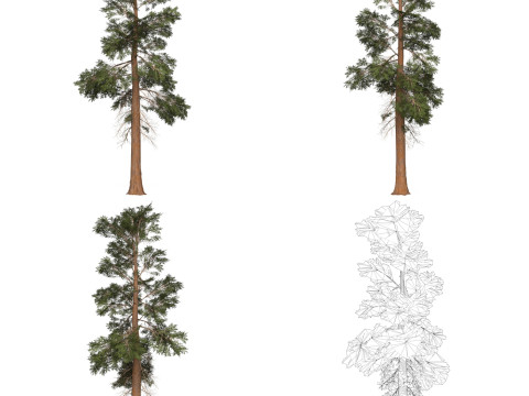 32 Game Ready Tree Collection Modelo 3D