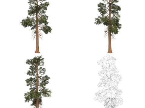32 Game Ready Tree Collection 3D Model