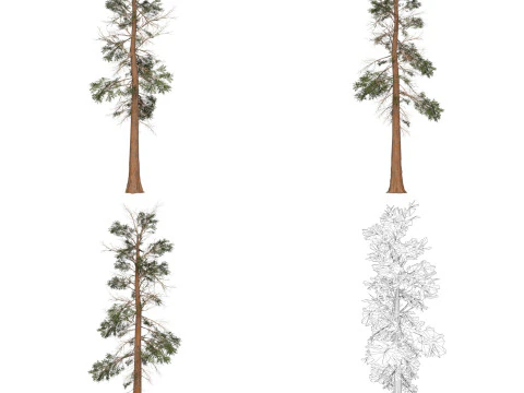 32 Game Ready Tree Collection 3D Model