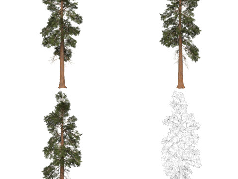 32 Game Ready Tree Collection Modelo 3D
