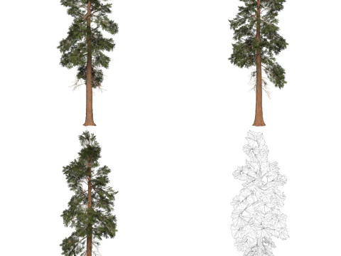 32 Game Ready Tree Collection 3D Model