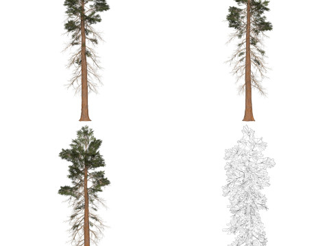 32 Game Ready Tree Collection Modelo 3D