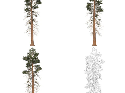32 Game Ready Tree Collection 3D Model