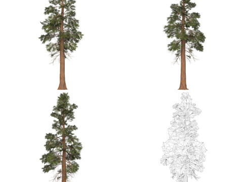32 Game Ready Tree Collection Modelo 3D