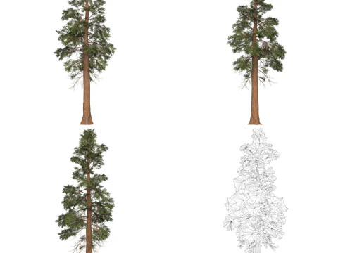 32 Game Ready Tree Collection 3D Model