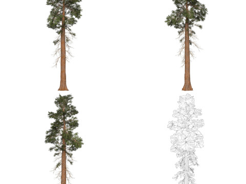 32 Game Ready Tree Collection Modelo 3D