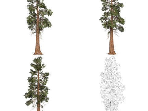 32 Game Ready Tree Collection Modelo 3D