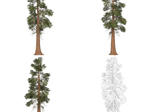 32 Game Ready Tree Collection 3D Model