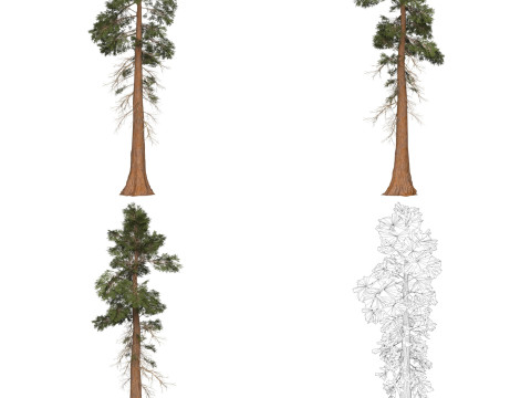 32 Game Ready Tree Collection Modelo 3D