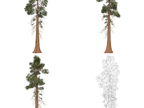 32 Game Ready Tree Collection 3D Model
