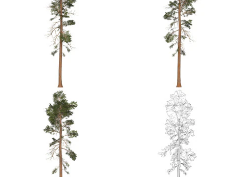 32 Game Ready Tree Collection 3D Model