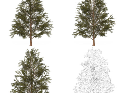 32 Game Ready Tree Collection Modelo 3D