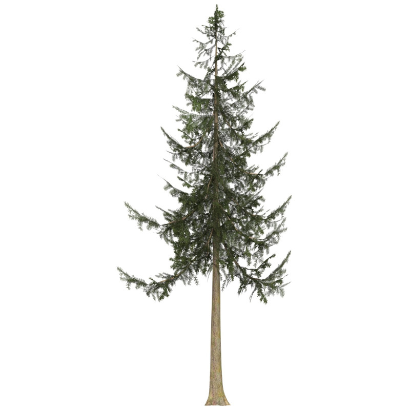 Game Ready Tree 33 Modèle 3D .c4d .max .obj .3ds .fbx .stl .blend 