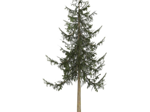 Game Ready Tree 33 3D मॉडल