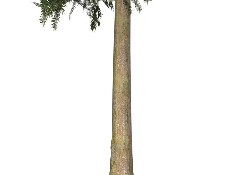Game Ready Tree 33 3D Model