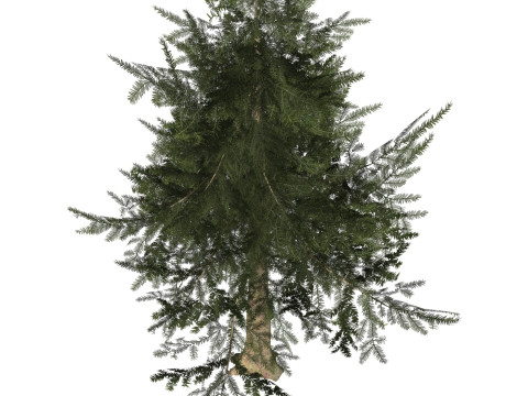 Game Ready Tree 33 Modèle 3D