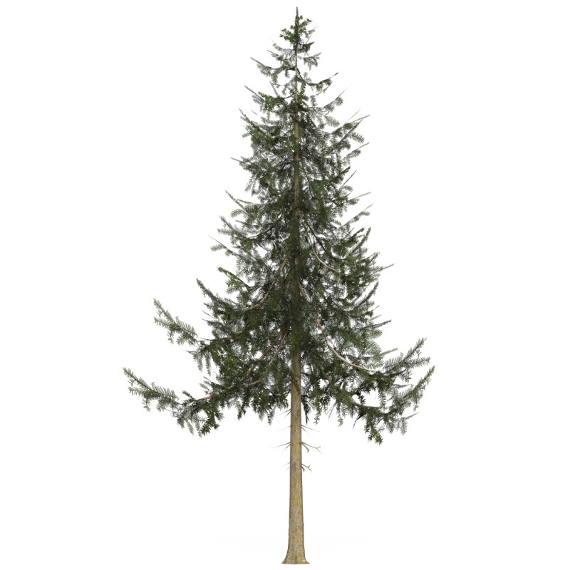 Game Ready Tree 34 3D Модель .c4d .max .obj .3ds .fbx .stl .blend 