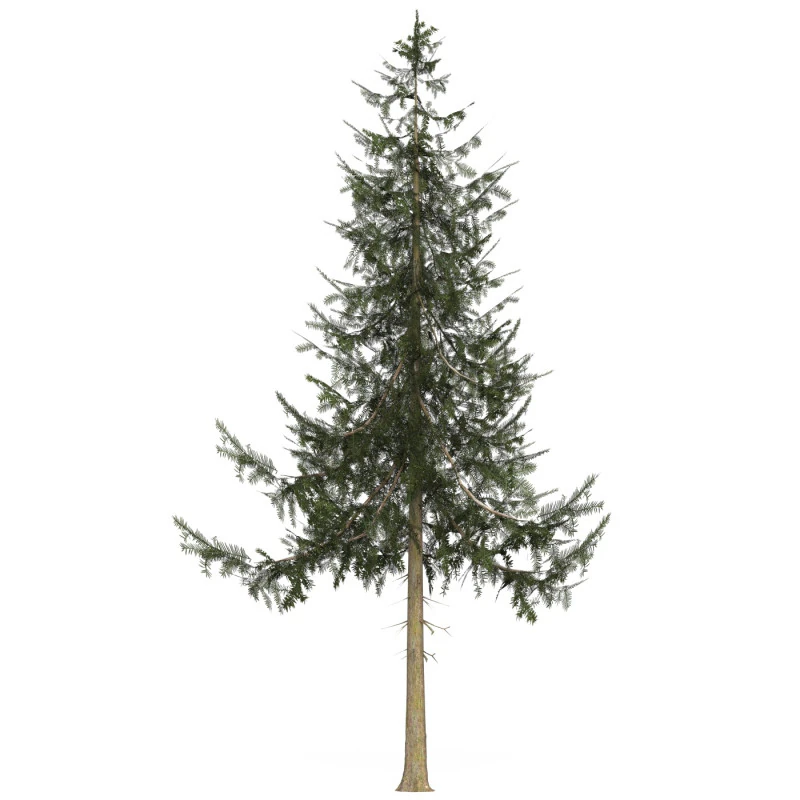 Game Ready Tree 34 3D Model .c4d .max .obj .3ds .fbx .stl .blend