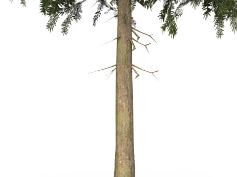 Game Ready Tree 34 3D Модель