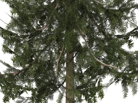 Game Ready Tree 34 3D Модель