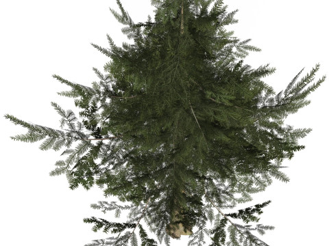 Game Ready Tree 34 3D Модель