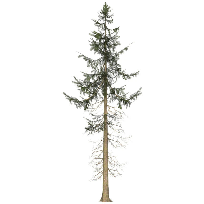 Game Ready Tree 35 3D Model .c4d .max .obj .3ds .fbx .stl .blend 