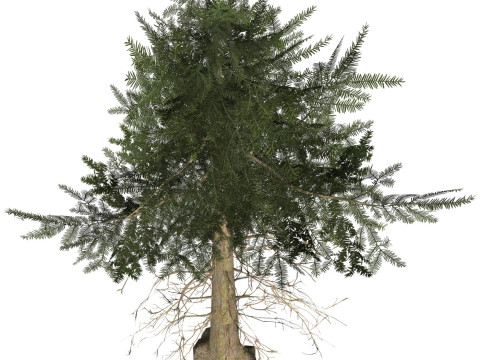 Game Ready Tree 35 3D 모델