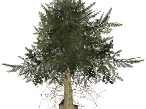 Game Ready Tree 35 3D Model