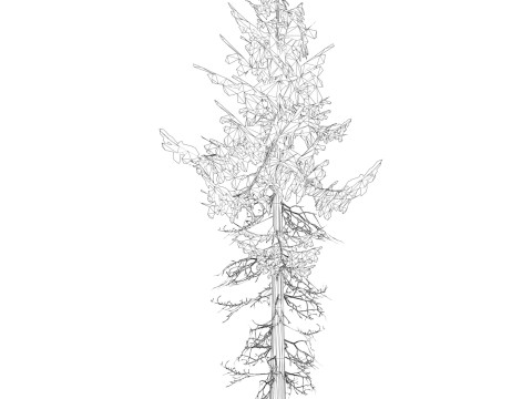 Game Ready Tree 35 3D 모델