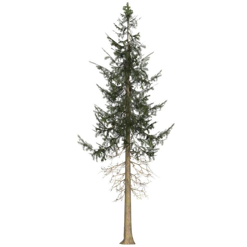 Game Ready Tree 36 3D Model .c4d .max .obj .3ds .fbx .stl .blend 