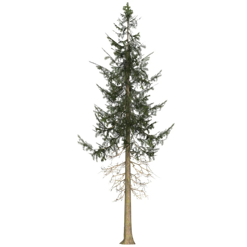 Game Ready Tree 36 3D Model .c4d .max .obj .3ds .fbx .stl .blend