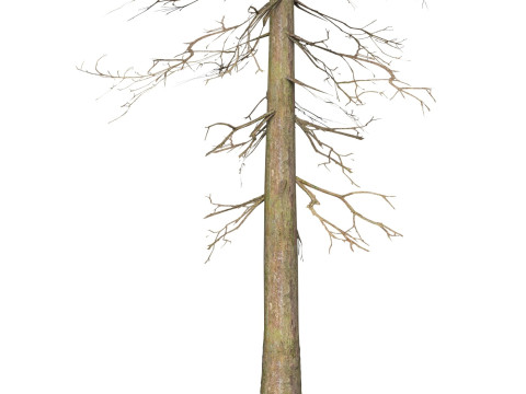 Game Ready Tree 37 Modello 3D
