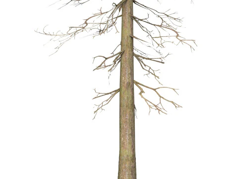 Albero pronto per il gioco 37 Modello 3D