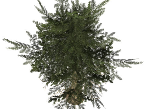Game Ready Tree 37 Modello 3D