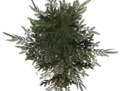 Albero pronto per il gioco 37 Modello 3D