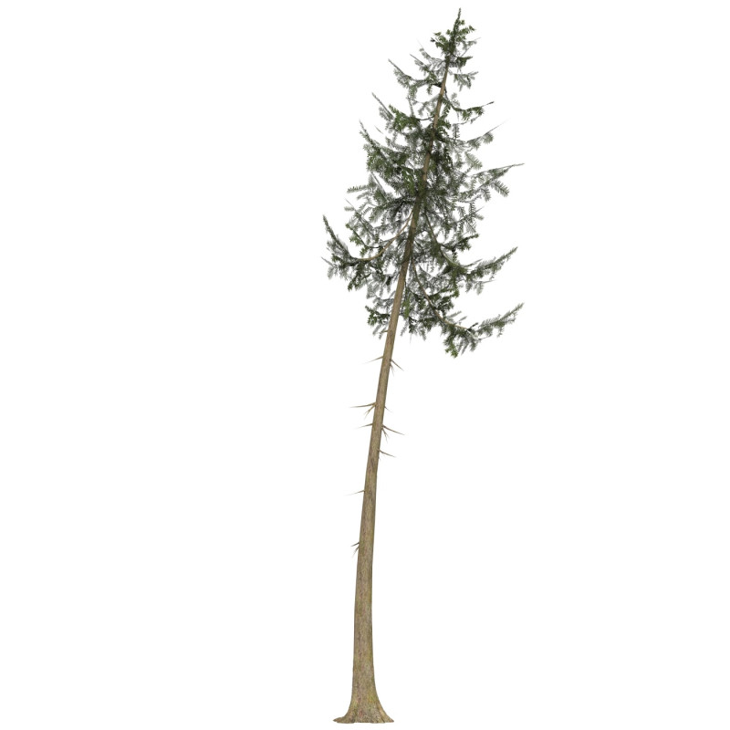 Game Ready Tree 38 3Dモデル .c4d .max .obj .3ds .fbx .stl .blend 