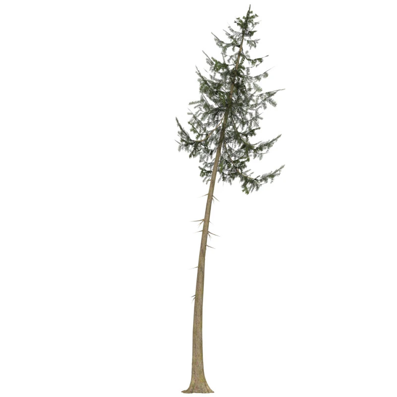 Game Ready Tree 38 3D Model .c4d .max .obj .3ds .fbx .stl .blend 