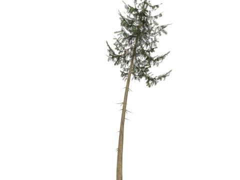 Game Ready Tree 38 3D मॉडल