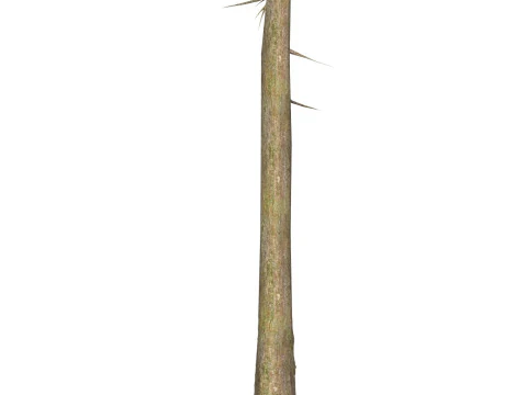 Game Ready Tree 38 3D Model