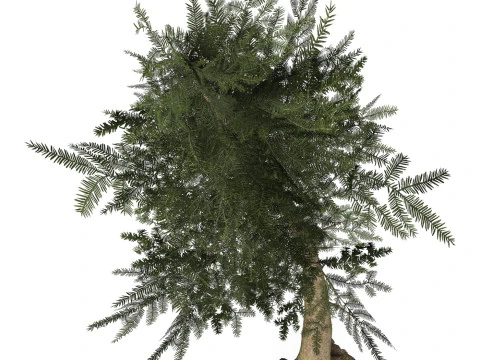 Game Ready Tree 38 3D Model