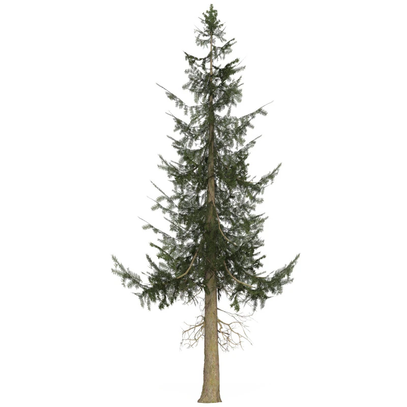 &Aacute;rvore pronta para jogo 39 Modelo 3D .c4d .max .obj .3ds .fbx .stl .blend 