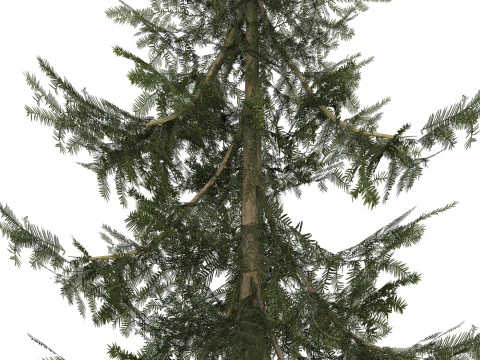 &Aacute;rvore pronta para jogo 39 Modelo 3D